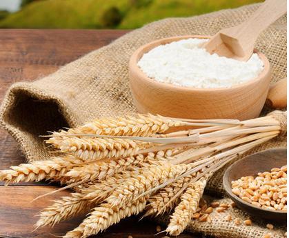 面粉制品改良剂主要有哪些？