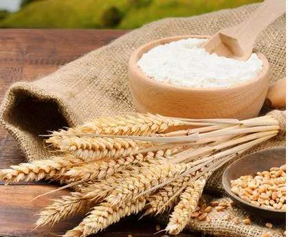 面粉技术改良的方法